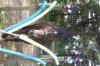 of=50,480,480.jpg of=50,480,480.jpg