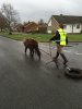 IMG-20160102-WA0004.jpg IMG-20160102-WA0004.jpg
