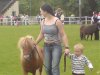 Pontypool show.jpg