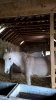 WP_20160624_17_09_13_Pro.jpg