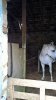WP_20160624_17_08_52_Pro.jpg