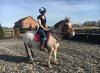IMG_2415.jpg IMG_2415.jpg