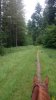DSC_0142.JPG