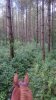 DSC_0155-1.jpg