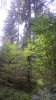 DSC_0204.JPG