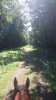 DSC_0216.JPG