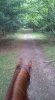 FB_IMG_1501941292243.jpg
