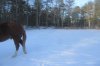 IMG_4611.JPG IMG_4611.JPG