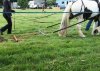 IMG_20180226_204648.jpg
