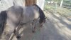 rps20180420_113144.jpg rps20180420_113144.jpg