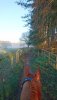 DSC_1788.JPG DSC_1788.JPG