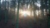 DSC_1789.JPG DSC_1789.JPG