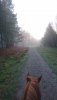 DSC_1790.JPG DSC_1790.JPG