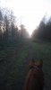 DSC_1792.JPG DSC_1792.JPG
