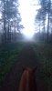 DSC_1802.JPG DSC_1802.JPG