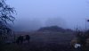 DSC_1803.JPG DSC_1803.JPG