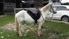 20150410_170916.jpg 20150410_170916.jpg