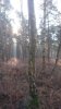 FB_IMG_1550259168222.jpg