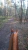 FB_IMG_1550259200433.jpg