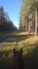 FB_IMG_1550259207006.jpg