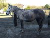 IMG_20190214_160457290_BURST000_COVER.jpg IMG_20190214_160457290_BURST000_COVER.jpg