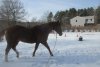 IMG_8729.JPG