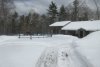 IMG_9338.JPG