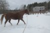 IMG_9743.JPG