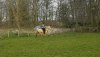 Screenshot_20190408-194341_Video Player.jpg