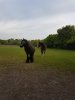 20190507_072408.jpg