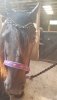 20190626_181322.jpg