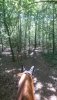 DSC_2597.JPG DSC_2597.JPG