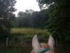 20190716_061113.jpg 20190716_061113.jpg