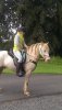 FB_IMG_1563788181886.jpg