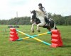 jump 4.jpg