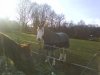 PHONE PICTURES 034.jpg