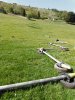 IMG_20200514_103654.jpg