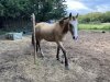 04946176-47E3-4A6F-B920-7E210E51A041.jpeg