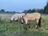 753DB110-248F-4426-A3C5-F0D53D92B63B.jpeg