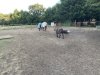 58307402-00DF-486E-A97B-F47C4950EC0B.jpeg
