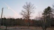 20210101_070224.jpg