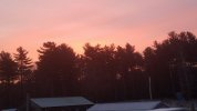 20210111_070354.jpg