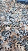 20210308_065929.jpg 20210308_065929.jpg