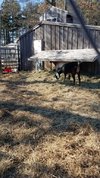 20210313_144456.jpg 20210313_144456.jpg
