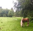 37C9298C-CE52-4ABC-B47D-BC0ED07E4650.jpeg