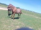 FB_IMG_1618906973259.jpg