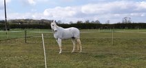 FB_IMG_1624735585214.jpg