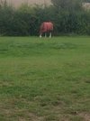 20210904_145809.jpg 20210904_145809.jpg