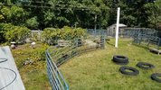 20210911_131220.jpg 20210911_131220.jpg