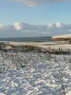 IMG_20211128_105243.jpg